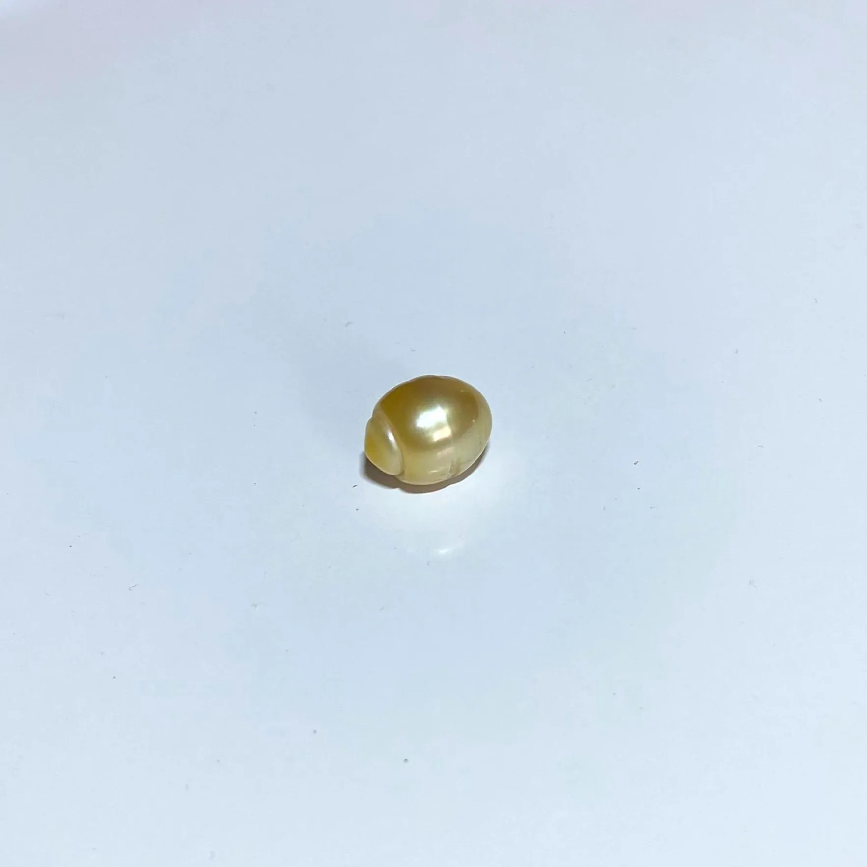 South Sea Pearl Drop