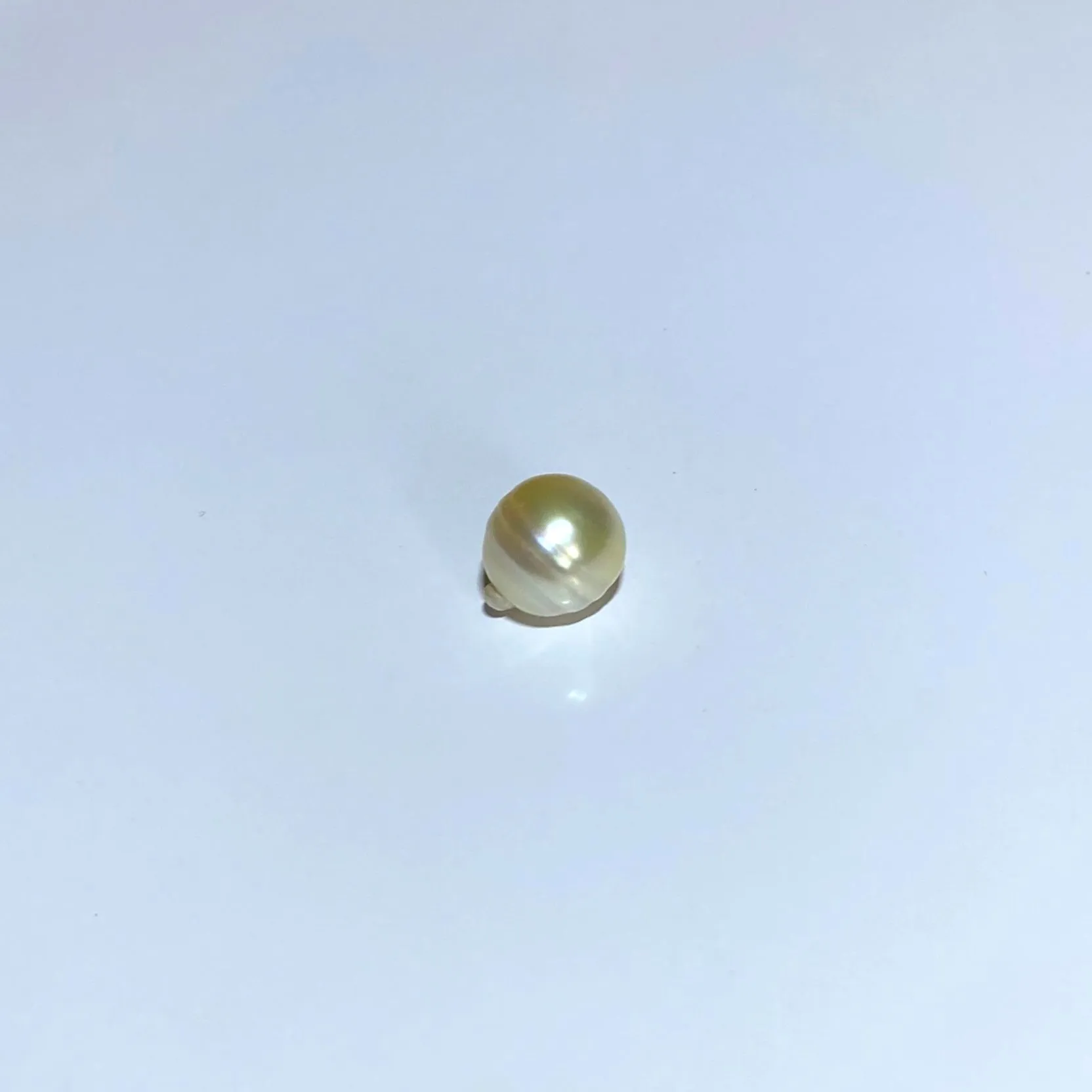 South Sea Pearl Drop