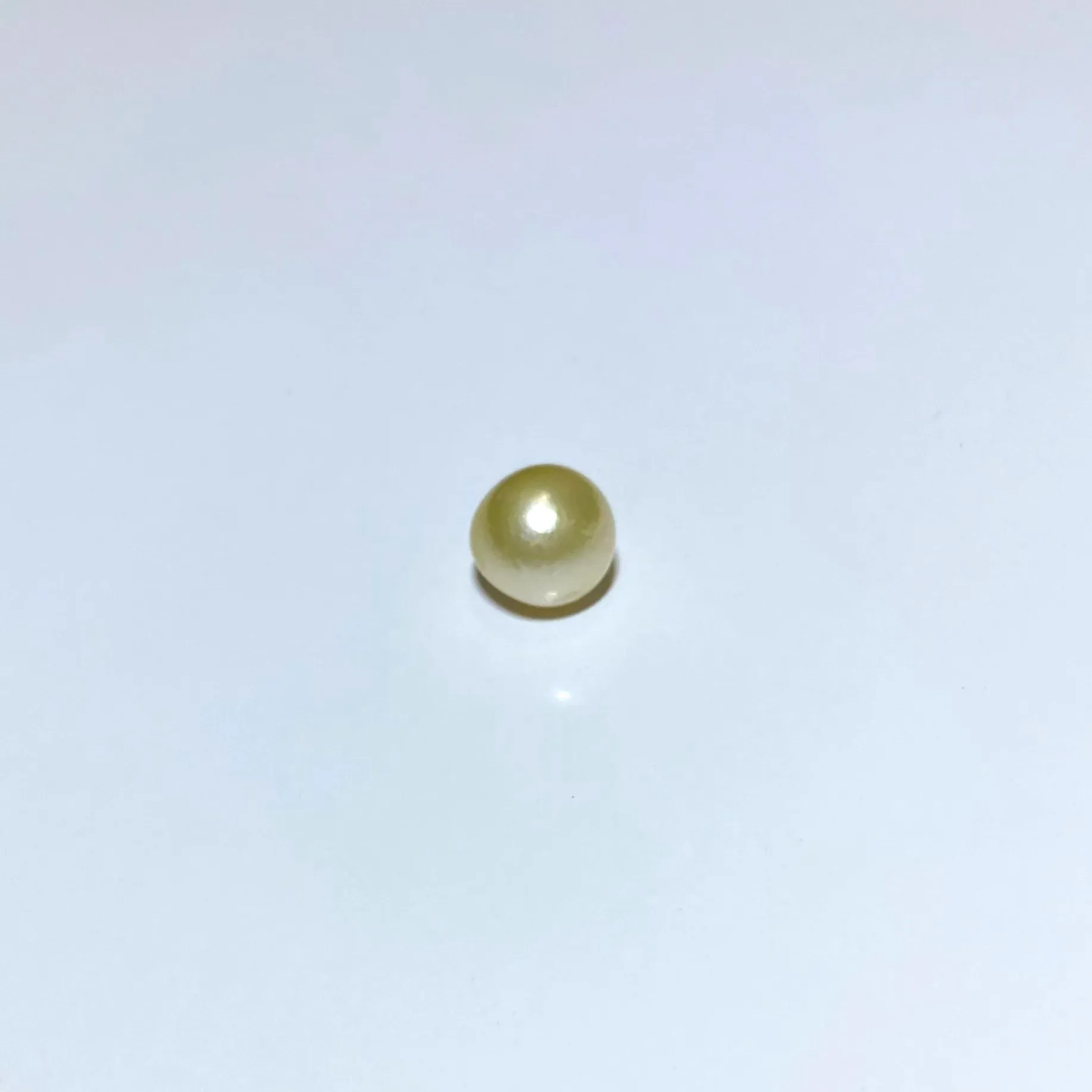 South Sea Pearl Drop