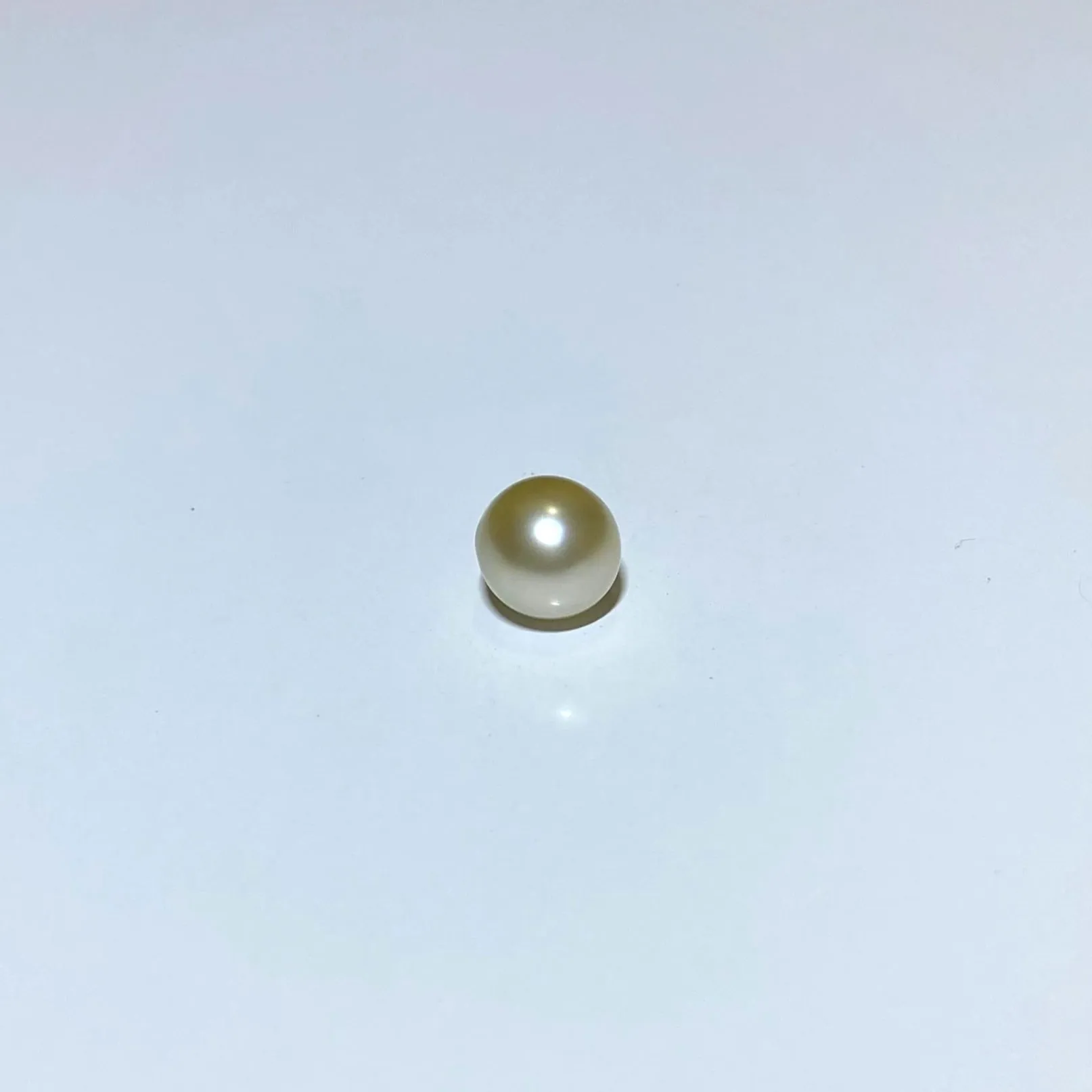 South Sea Pearl Drop