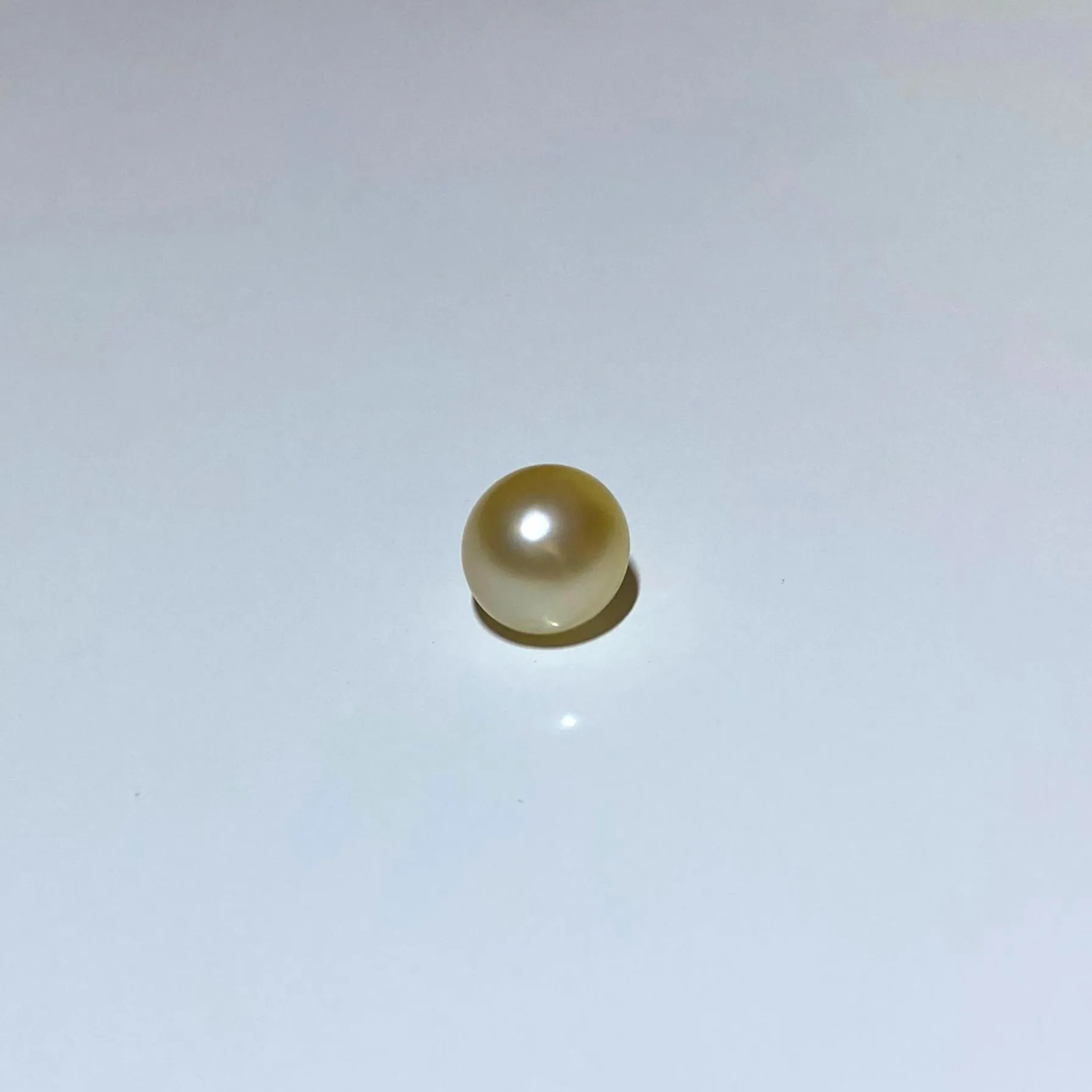 South Sea Oval Pearl
