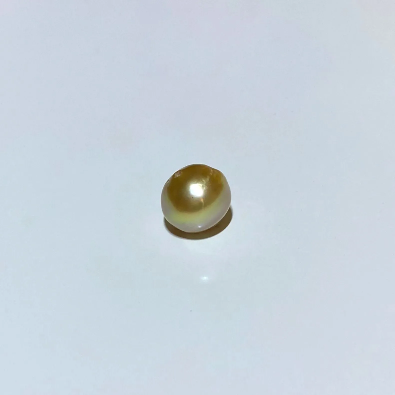 South Sea Circled Pearl