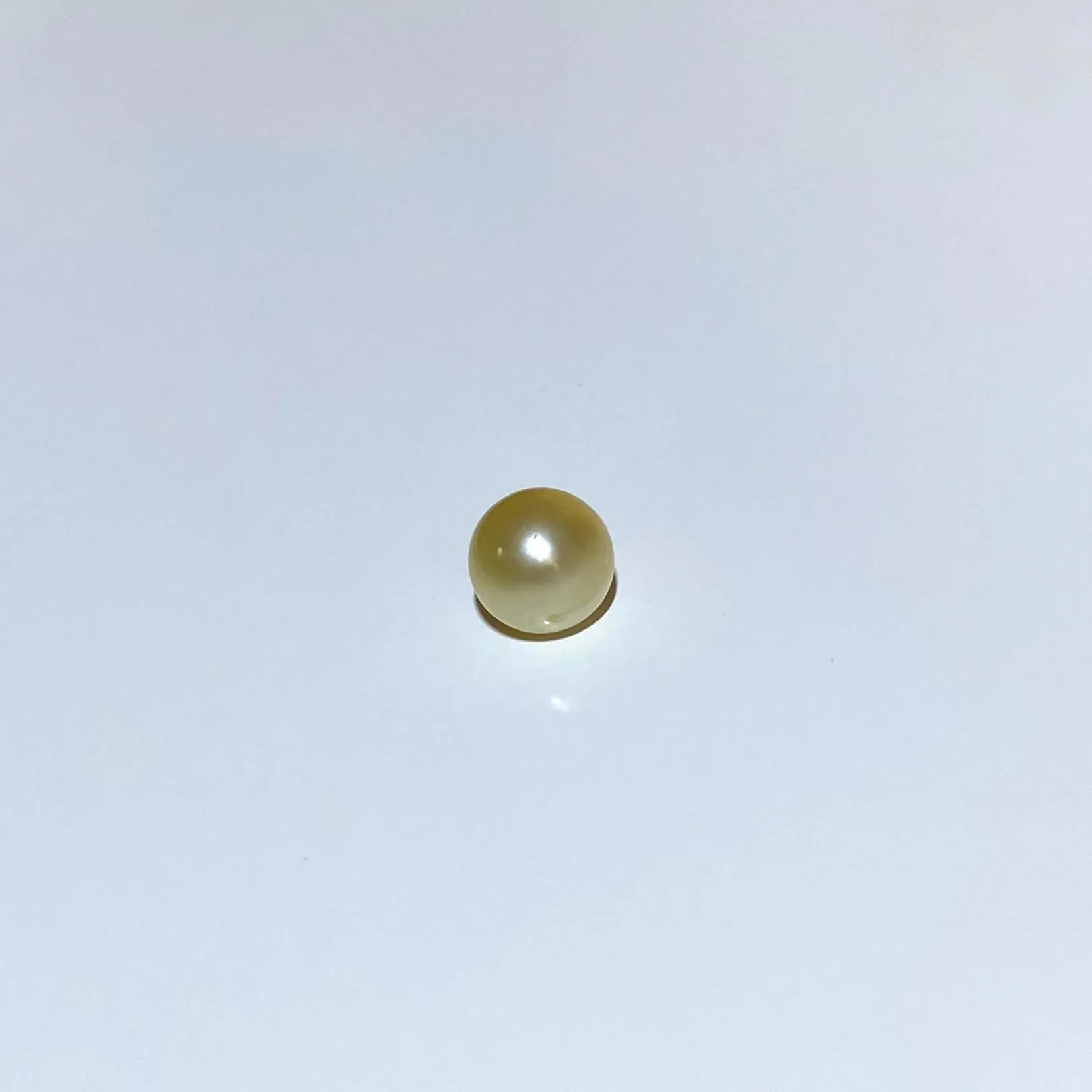 South Sea Oval Pearl