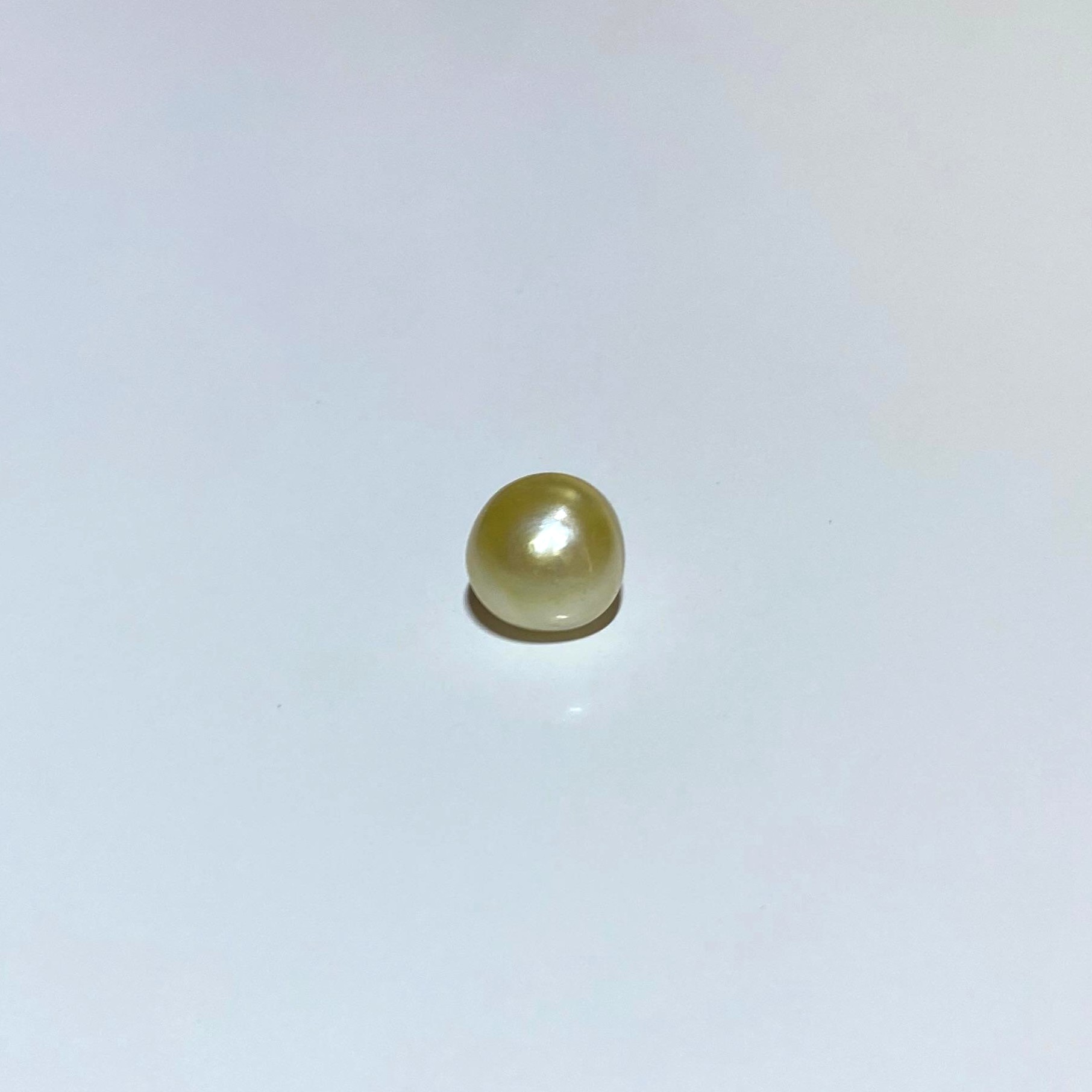 South Sea Oval Pearl