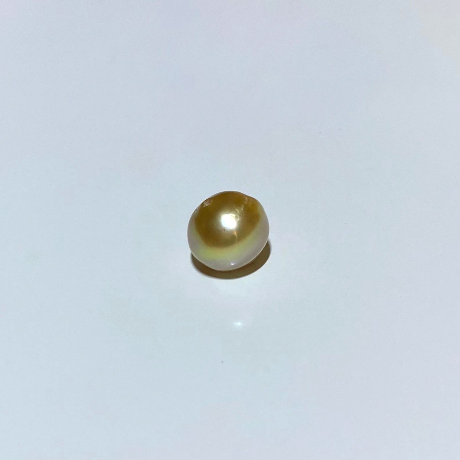 South Sea Circled Pearl