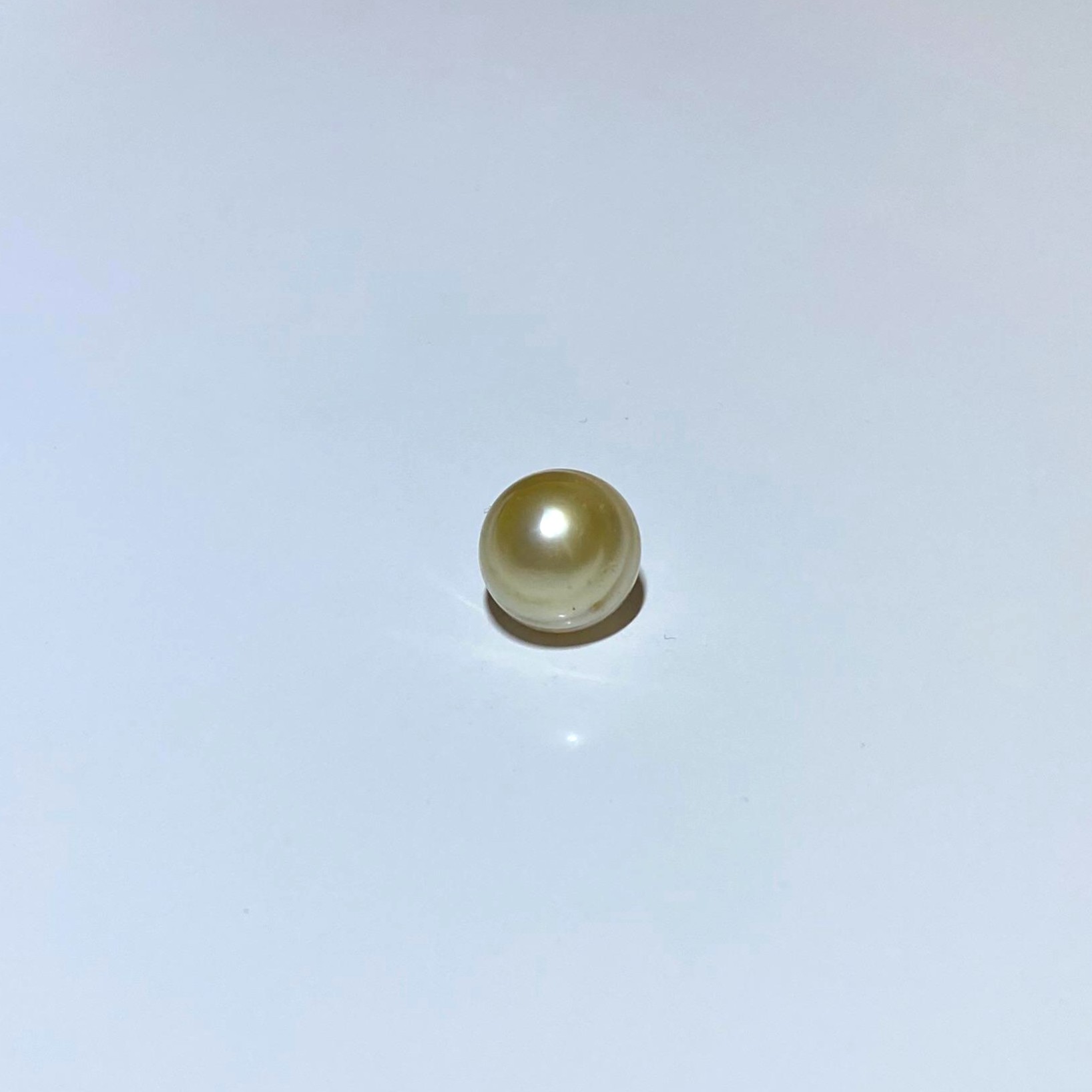 South Sea Oval Pearl