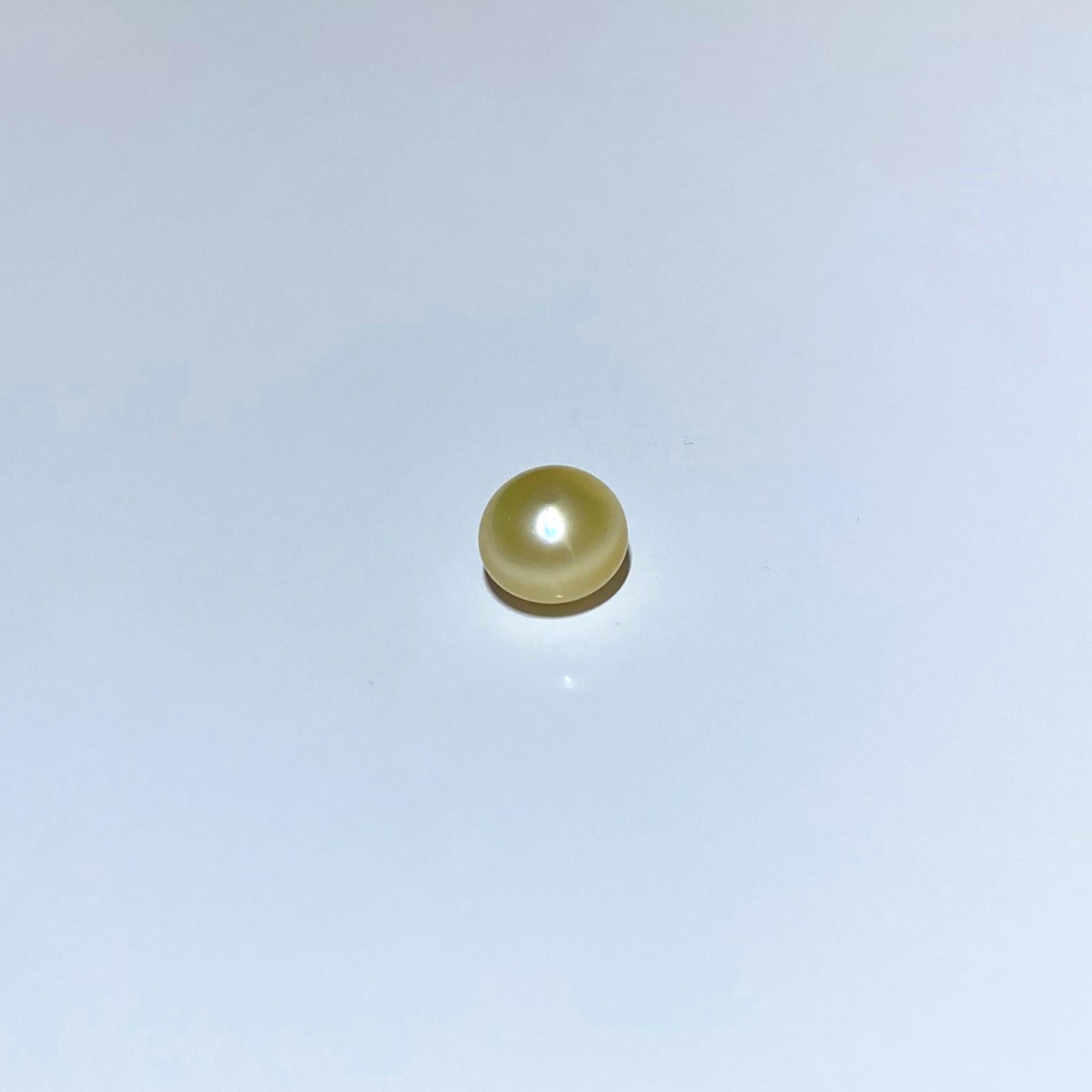 South Sea Oval Pearl